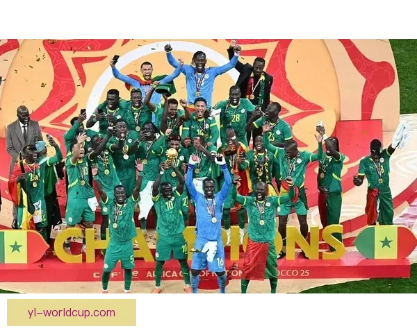 非洲杯决赛冲突将受处罚非足联