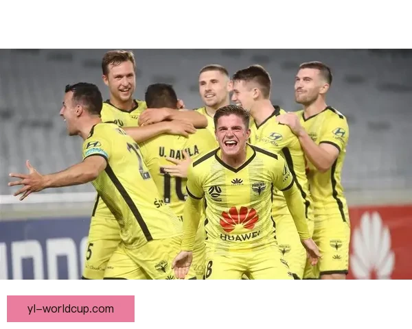 新西兰国脚辛格加盟澳超惠灵顿凤凰