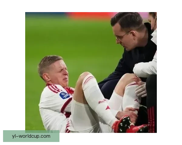 津琴科重伤后崩溃致歉阿贾克斯